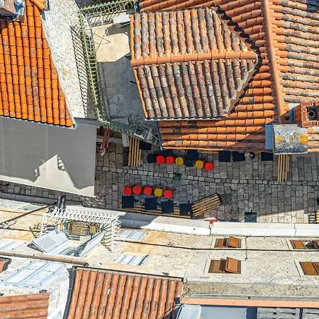 Lola - Zf Hvar Χβαρ